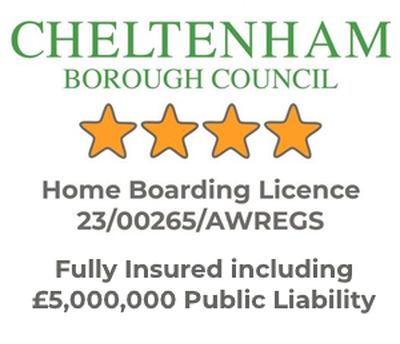 Dog Boarding Cheltenham Licence Number 23/00265/AWREGS